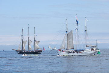 Hanse Sail
