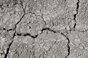 Cracked ground