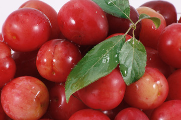wild cherries close up