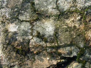 Texture of old brick with moss and cracks