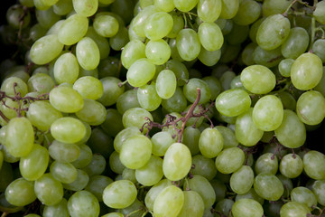 Green Grapes