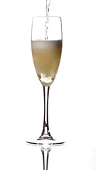 bubbles champagne