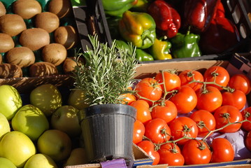 Vegetable market stall