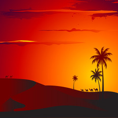 Fototapeta na wymiar Zachód słońca w pustyni