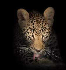 Foto op Canvas luipaard in het donker © JohanSwanepoel