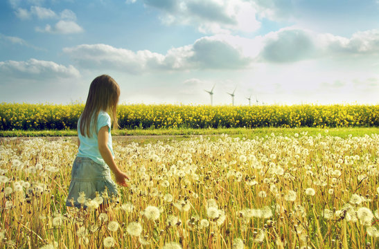 Little Girl In Dandelion Field