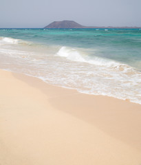 white sand beach on Fuerteventura (Corralejo 