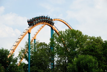 Roller Coaster