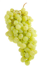 grapes on a white background