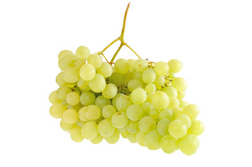 grapes on a white background