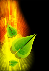 Vector shiny background with leaves