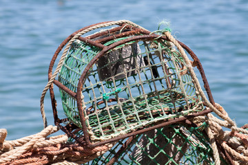 Lobster cage