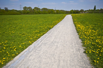 Sunny Path