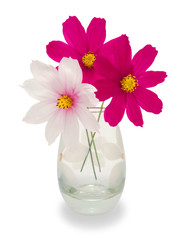 three flowers in a vase
