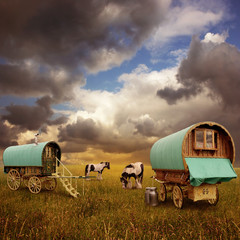 Old Gypsy Caravans, Trailers, Wagons with Horses - obrazy, fototapety, plakaty