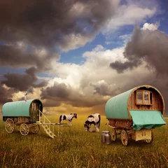 Poster Old Gypsy Caravans, Trailers, Wagons with Horses © Binkski