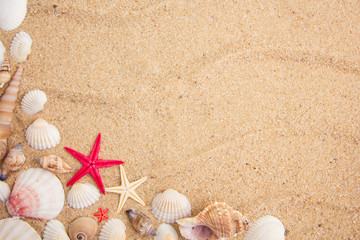 Sea shells frame on sand