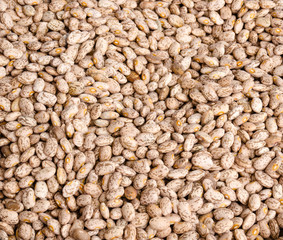 Dried beans on display