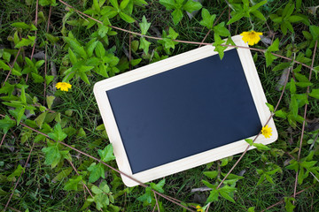 blackboard