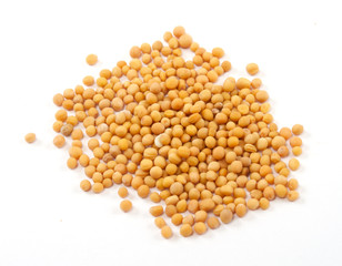 Yellow mustard seeds isolated on white background