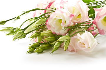 a bouquet of beautiful flowers