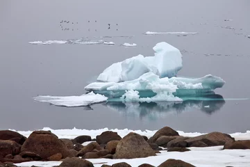 Gordijnen Iceberg © Vladimir Melnik