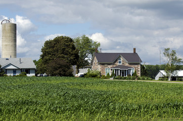 American farm house organic with corn field © razvanmatei