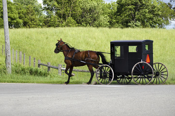 Amish (mennonite) people riding their buggy