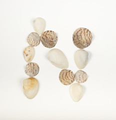 Alphabet letter made from sea shells