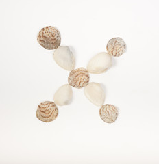 Alphabet letter made from sea shells