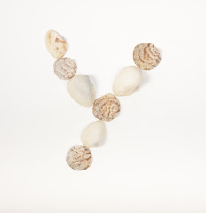 Alphabet letter made from sea shells