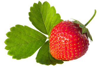 Srawberry with leaves