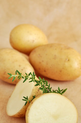 Raw Potatoes and Thyme