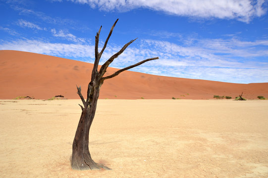 desert Namib,Namibia,Sossusvlei location