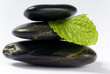spa steine mit grünem blatt