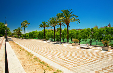 Nice park in the city of Sevilla, Spain