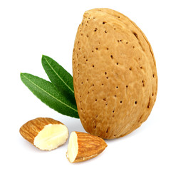 Almond with cut kernel