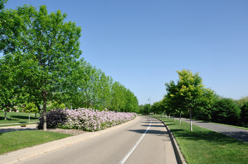 Street With Landscaped Median