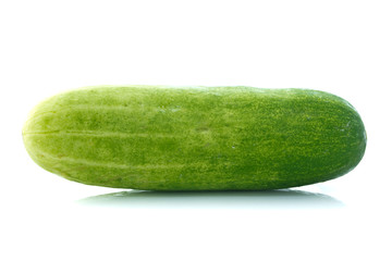 Cucumber