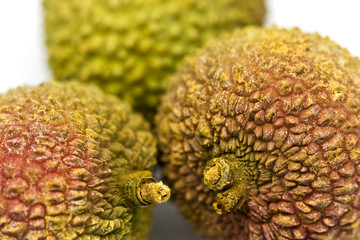 Lychee