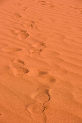 Foot prints in the sand