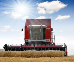 Combine harvesting wheat