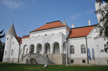 Fototapeta na wymiar e castle of Count dunjdjerskog in Serbia