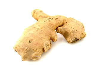Ginger (Zingiber)