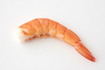 cooked tail shrimp close up