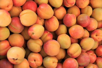 apricot