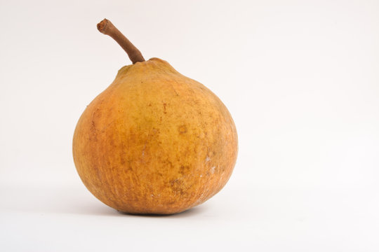 Tropical fruit - Kra-Thon, a kind of exotic Thai fruit