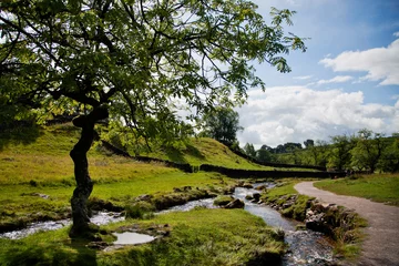 Peel and stick wall murals Summer Beautiful landscape in Yorkshire Dales National Park in England