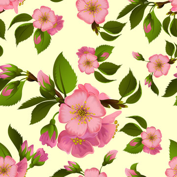 Seamless pattern with spring apple blossom