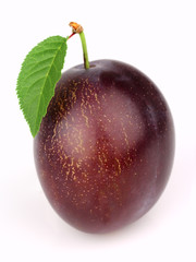 Ripe plum with leaves